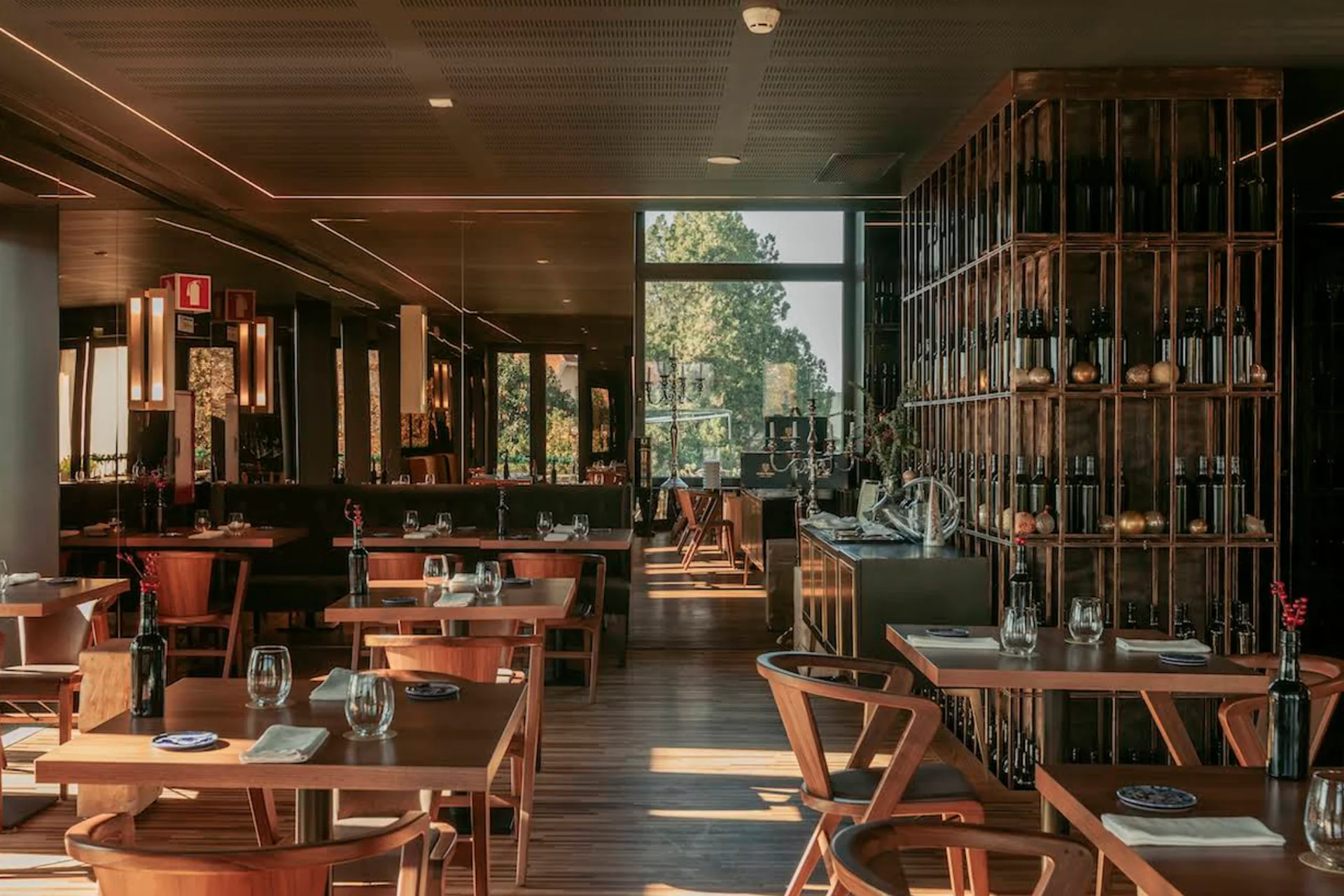 Digby restaurant interior with warm wood tones and natural light